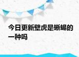今日更新壁虎是蜥蜴的一种吗