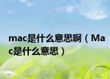 mac是什么意思啊（Mac是什么意思）