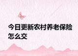 今日更新农村养老保险怎么交