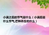 小满之后的节气是什么（小满后是什么节气,芒种养生吃什么）