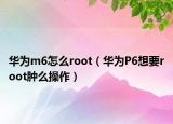 华为m6怎么root（华为P6想要root肿么操作）