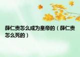 薛仁贵怎么成为皇帝的（薛仁贵怎么死的）