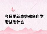 今日更新高等教育自学考试考什么