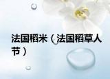 法国稻米（法国稻草人节）