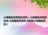 小茴香和孜然有区别吗（小茴香和孜然的区别,小茴香是孜然吗,孜然和小茴香的区别）