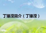 丁臻滢简介（丁臻滢）