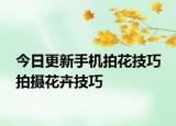 今日更新手机拍花技巧 拍摄花卉技巧