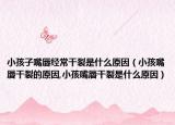 小孩子嘴唇经常干裂是什么原因（小孩嘴唇干裂的原因,小孩嘴唇干裂是什么原因）