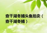 查干湖冬捕头鱼拍卖（查干湖冬捕）
