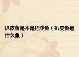 扒皮鱼是不是巴沙鱼（扒皮鱼是什么鱼）