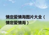 情定爱情海图片大全（情定爱情海）