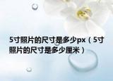 5寸照片的尺寸是多少px（5寸照片的尺寸是多少厘米）