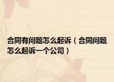 合同有问题怎么起诉（合同问题怎么起诉一个公司）