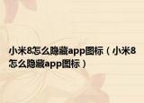 小米8怎么隐藏app图标（小米8怎么隐藏app图标）