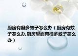 厨房有很多蚊子怎么办（厨房有蚊子怎么办,厨房里面有很多蚊子怎么办）