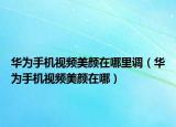 华为手机视频美颜在哪里调（华为手机视频美颜在哪）