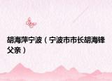胡海萍宁波（宁波市市长胡海锋父亲）