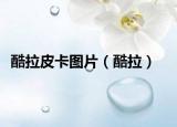酷拉皮卡图片（酷拉）