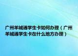 广州羊城通学生卡如何办理（广州羊城通学生卡在什么地方办理）