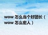 wow 怎么当个好团长（wow 怎么密人）