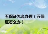 五保证怎么办理（五保证怎么办）