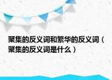 聚集的反义词和繁华的反义词（聚集的反义词是什么）