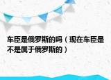 车臣是俄罗斯的吗（现在车臣是不是属于俄罗斯的）