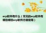 erp软件有什么（常见的erp软件有哪些哪些erp软件方便使用）
