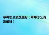 草莓怎么清洗最好（草莓怎么清洗最好）