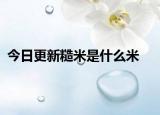今日更新糙米是什么米