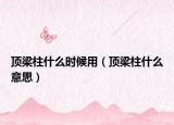 顶梁柱什么时候用（顶梁柱什么意思）