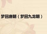 梦回唐朝（梦回九龙朝）