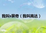 我叫s裴奇（我叫高达）