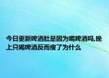 今日更新啤酒肚是因为喝啤酒吗,晚上只喝啤酒反而瘦了为什么