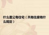 什么是公有住宅（共有住房有什么规定）