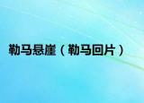 勒马悬崖（勒马回片）