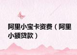 阿里小宝卡资费（阿里小额贷款）