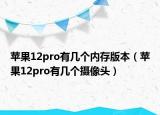 苹果12pro有几个内存版本（苹果12pro有几个摄像头）