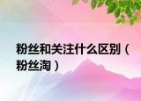 粉丝和关注什么区别（粉丝淘）