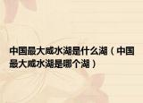 中国最大咸水湖是什么湖（中国最大咸水湖是哪个湖）