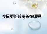 今日更新菠萝长在哪里