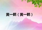 黄一鹤（黄一鹤）