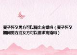 妻子怀孕男方可以提出离婚吗（妻子怀孕期间男方或女方可以要求离婚吗）