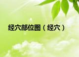 经穴部位图（经穴）
