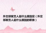 外交部发言人是什么级别官（外交部发言人是什么级别的职务）