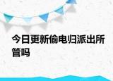今日更新偷电归派出所管吗