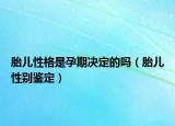 胎儿性格是孕期决定的吗（胎儿性别鉴定）
