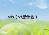 vts（vt是什么）