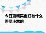 今日更新买鱼缸有什么需要注意的