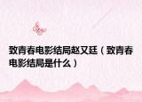 致青春电影结局赵又廷（致青春电影结局是什么）